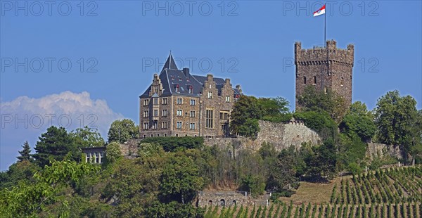 Klopp Castle