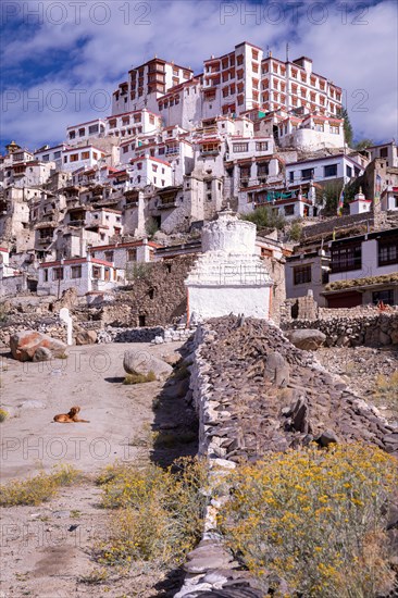 Courtyard of Chemrey Gompa