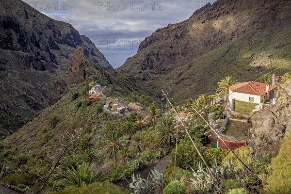 View over the small picturesque mountain village Masca among black volcanic cliffs in the Macizo de Teno mountains on Tenerife