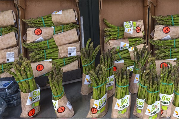 Organic asparagus on sale at a vegetable stall