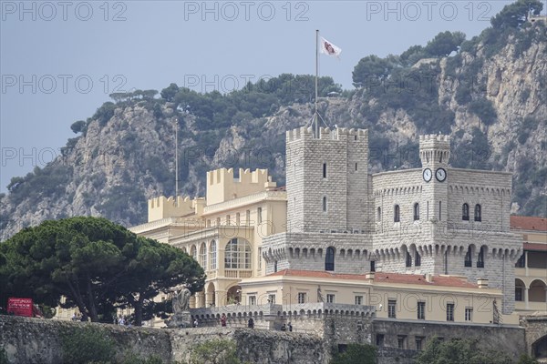 Princely Palace of the Grimaldi Family
