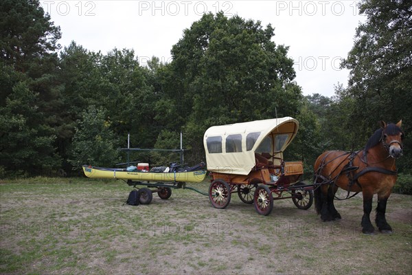 Kayak tour in Mecklenburg