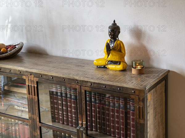 Books and encyclopaedias in old glass case with metal