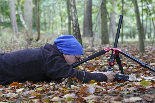 Nature park photographer at work