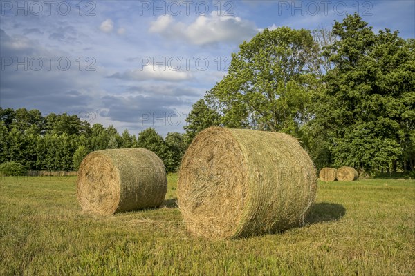 Hay bales near Burg-Kolonie