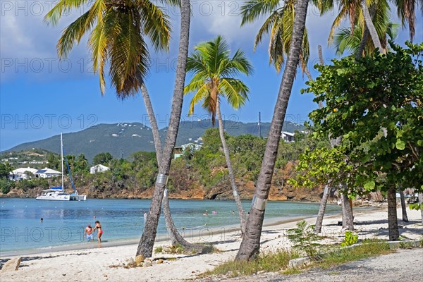 Tourists on white sandy beach with palm trees along Druif Bay at Water Island