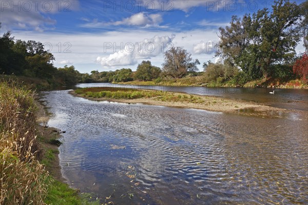 Gravel bank in the Mulde River