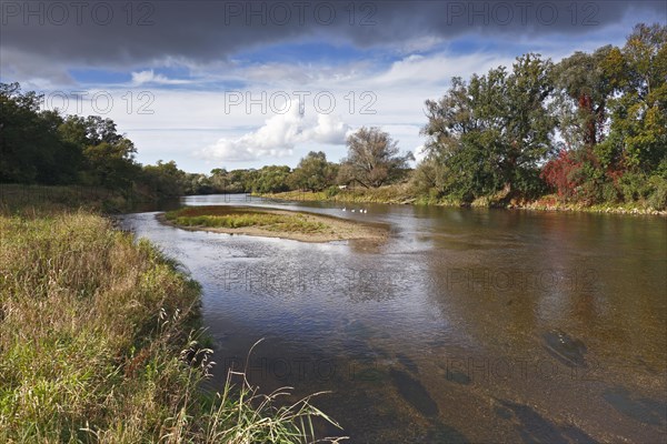 Gravel bank in the Mulde River