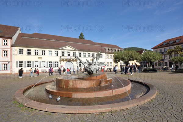 Sebastian Minster Fountain and University Building