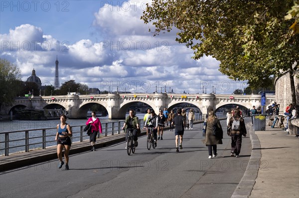 View of the Pont Neuf bridge