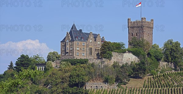 Klopp Castle