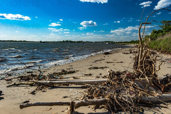 The Barren Island shore on the side of the Dead Horse Bay