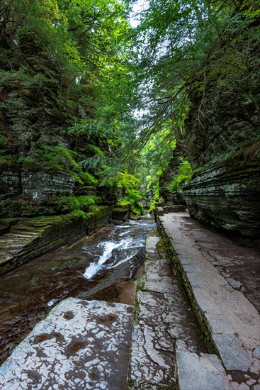 Robert H. Treman State Park: Gorge Trail. Tompkins County