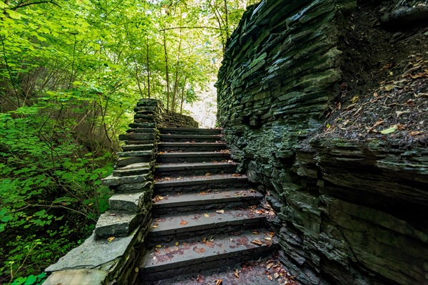 Watkins Glen State Park: Gorge Trail