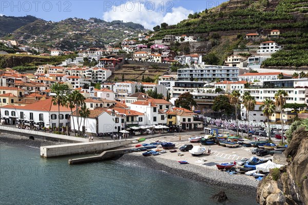 View of Camara de Lobos and the harbour