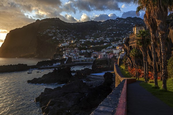 Camara de Lobos in the evening light