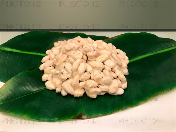 Cocoa beans decorated on a leaf