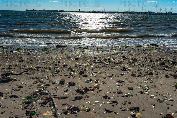 The Barren Island shore on the side of the Dead Horse Bay