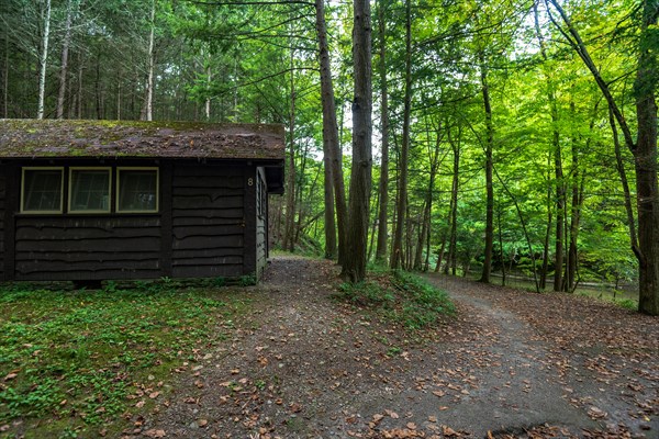 Robert H. Treman State Park: Camping area cabins. Tompkins County