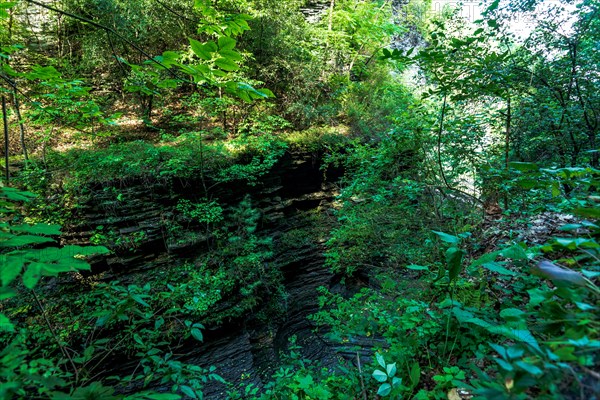 Watkins Glen State Park: Gorge Trail entrance and tunnel