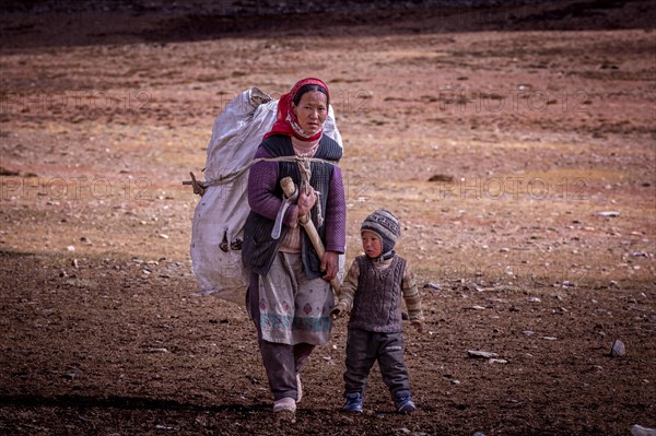 A Changpa nomad with child collects twigs and roots to be used to make fire