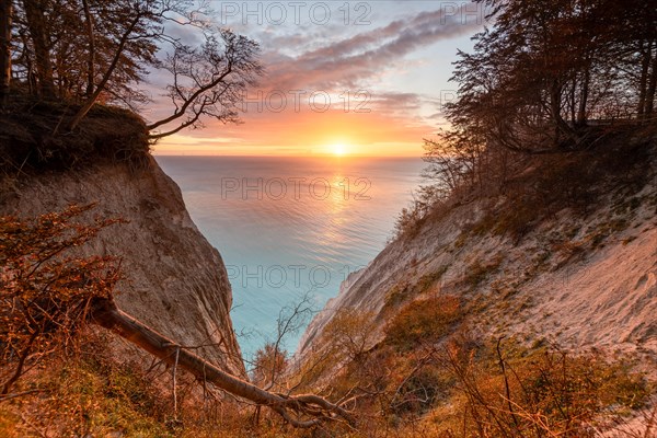 Sunrise at the chalk cliffs Moens Klint