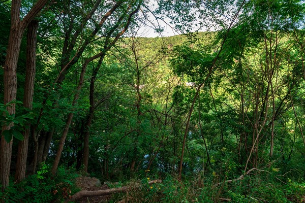 View on the Delaware Water Gap and Delaware River