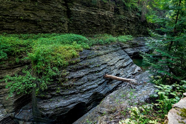 Watkins Glen State Park: Gorge Trail entrance and tunnel