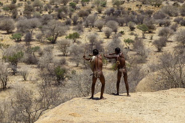 Bushwalking with two San men