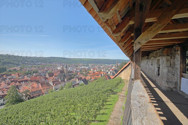 Castle steps and townscape with Gothic town church