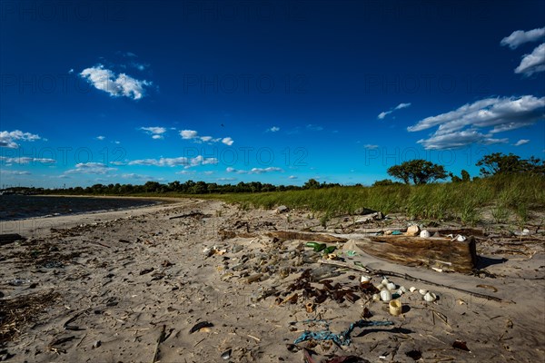 The Barren Island shore on the side of the Dead Horse Bay