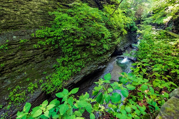 Watkins Glen State Park: Gorge Trail