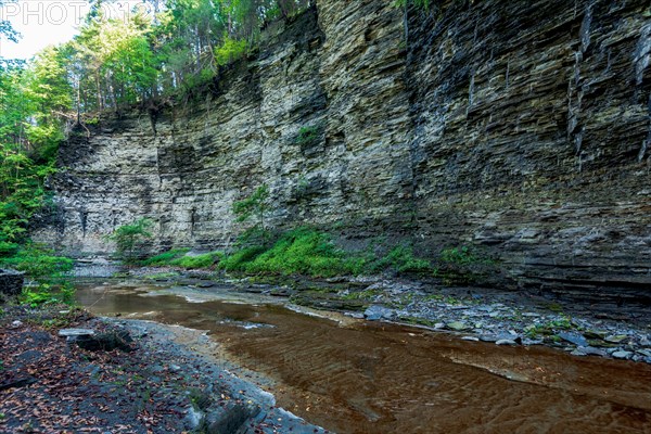 Watkins Glen State Park: Gorge Trail