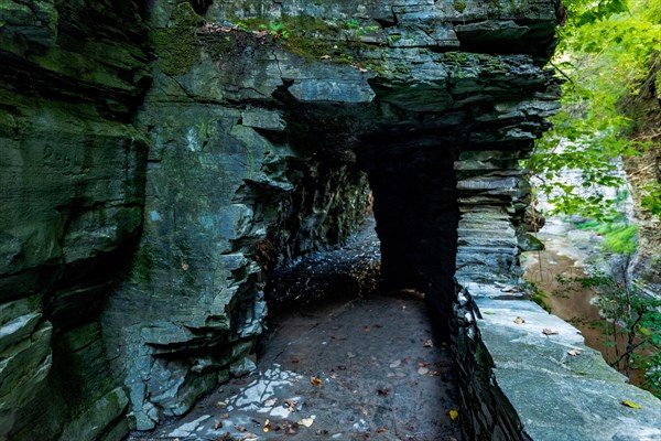 Watkins Glen State Park: Gorge Trail