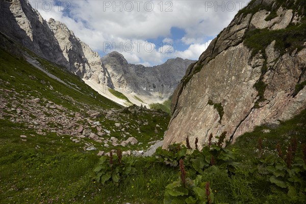 Carnic Alps near Wolayersee