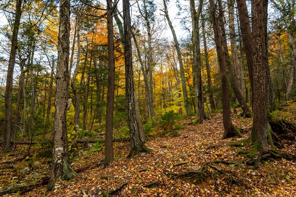 Autumn on Lake Minnewaska State Park