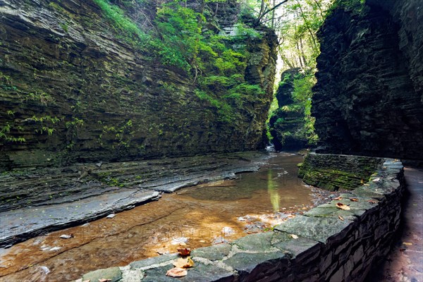 Watkins Glen State Park: Gorge Trail entrance and tunnel