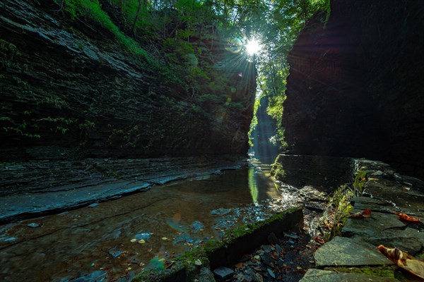 Watkins Glen State Park: Gorge Trail