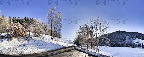 Road through a winter landscape near Elzach