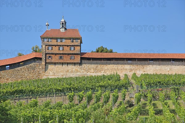 Burgstaffel with Hochwacht and Seilergang