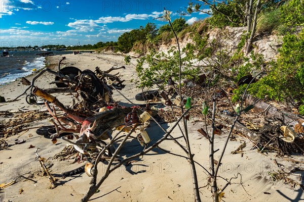 The Barren Island shore on the side of the Dead Horse Bay