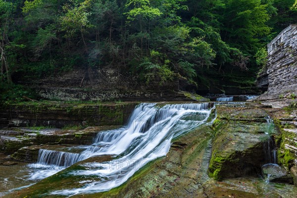 Robert H. Treman State Park: Gorge Trail. Tompkins County
