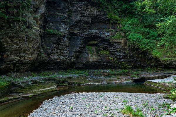 Robert H. Treman State Park: Gorge Trail. Tompkins County