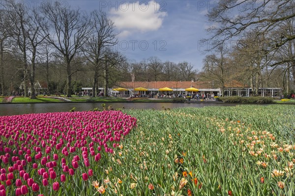 Annual flower show