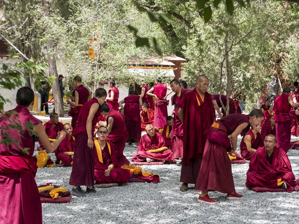 Monk discussion at Sera Monastery