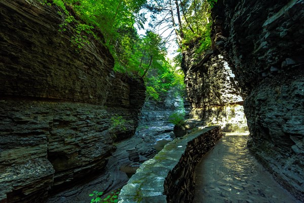 Watkins Glen State Park: Gorge Trail