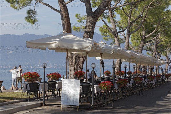 Restaurant terrace under pine trees on the lakeshore