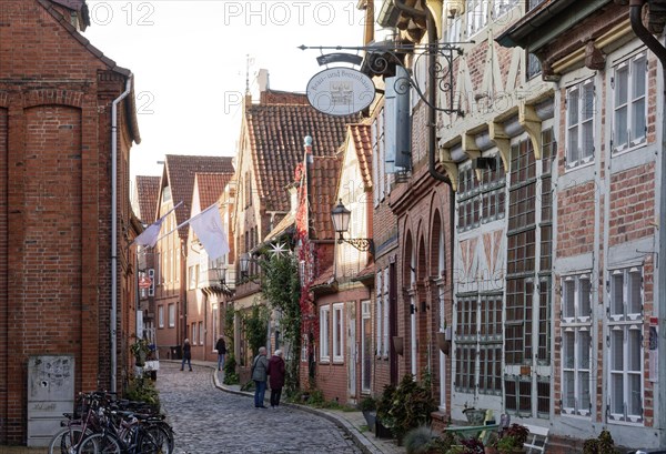 Half-timbered houses on the Elbstrasse in the old town of Lauenburg on the Elbe. Duchy of Lauenburg