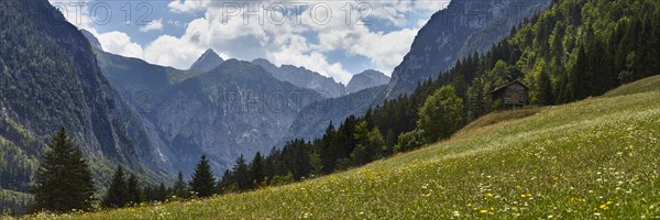 Meadow near Nostra