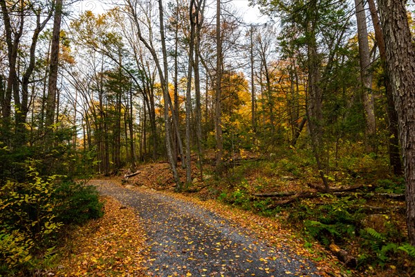 Autumn on Lake Minnewaska State Park